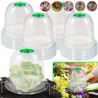 Clear Garden Dome