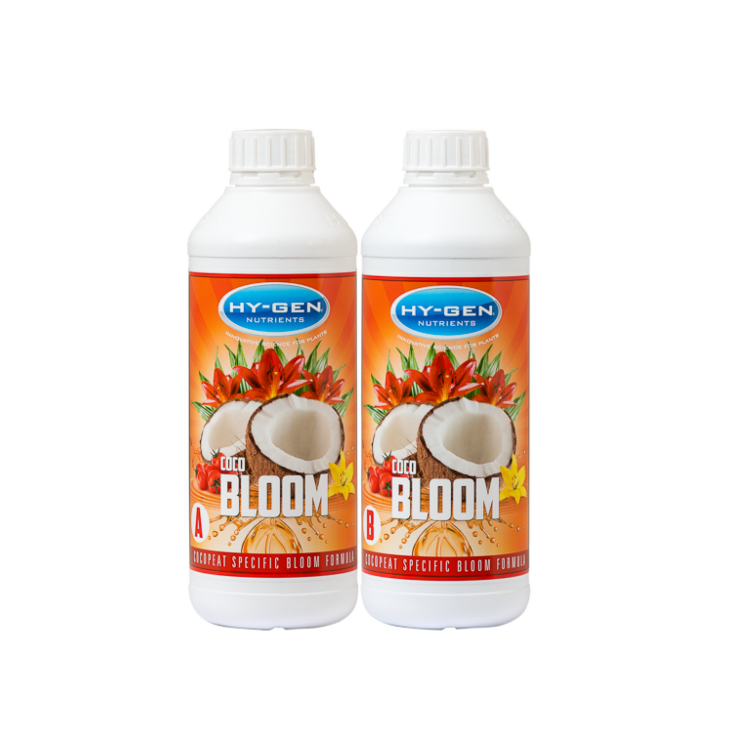 HY-GEN Coco Bloom Two Part