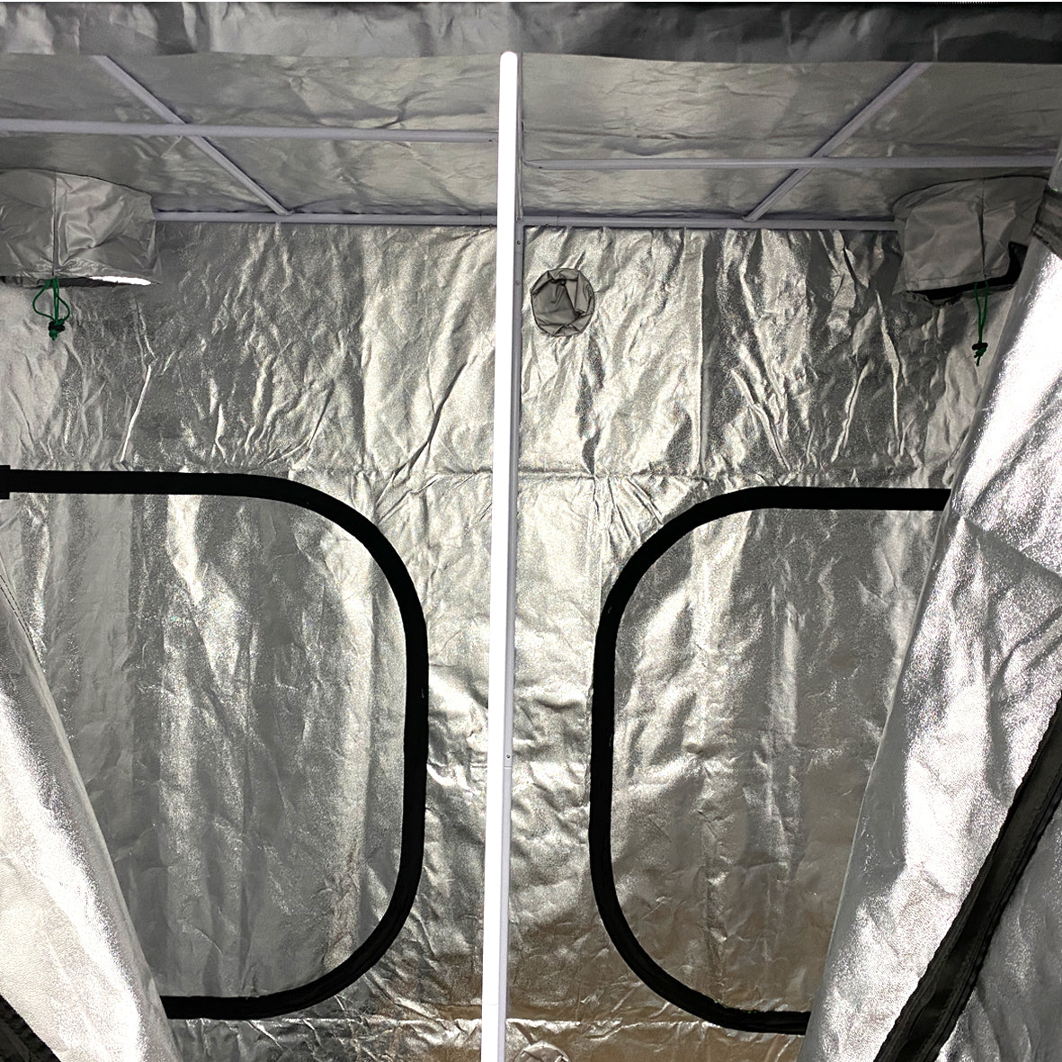 Green Master Grow Tent 200x100x200cm
