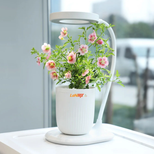 Lanitex - Indoor Mini Hydroponic Grow Pot Z 2.4
