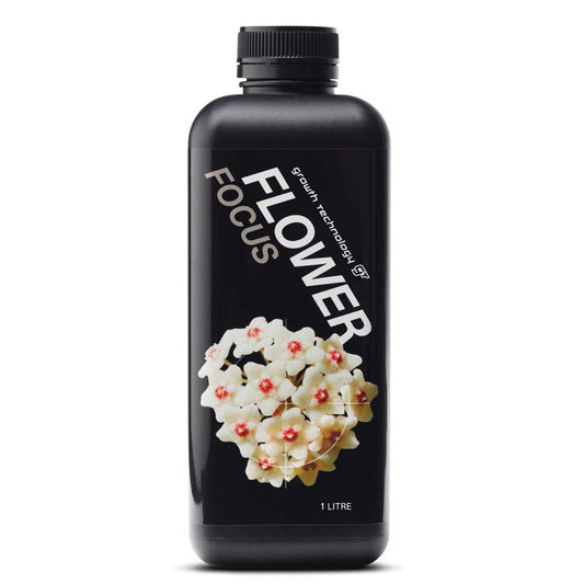 GT - FLOWER FOCUS