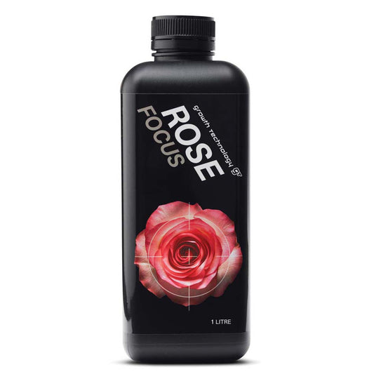 GT - ROSE FOCUS 1L