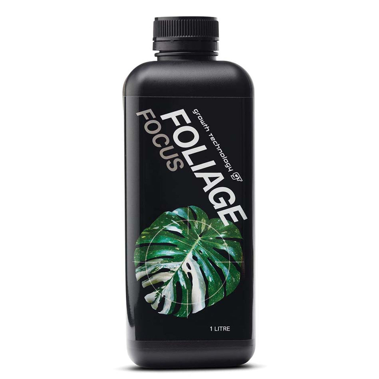 GT - FOLIAGE FOCUS