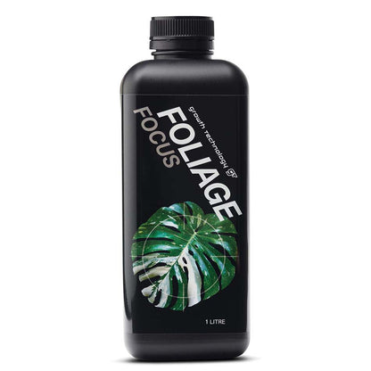 GT - FOLIAGE FOCUS