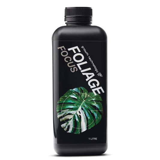 GT - FOLIAGE FOCUS