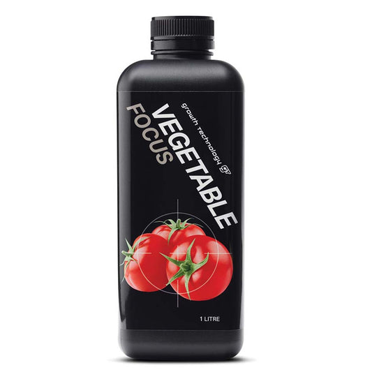 GT - VEGETABLE FOCUS