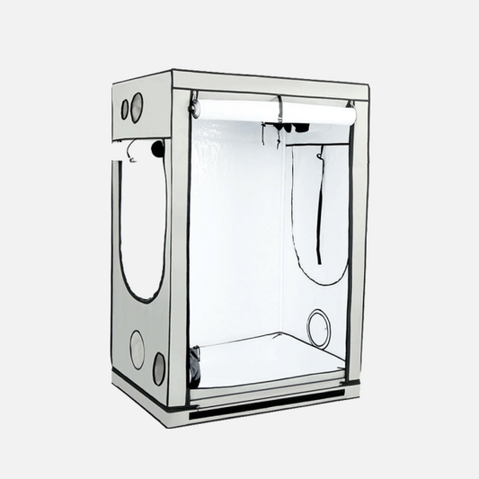 **SPECIAL ORDER** HOMEbox - Ambient, R Series