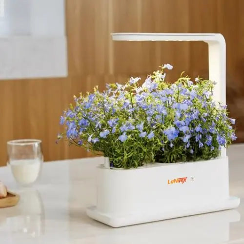 Lanitex - Desktop Grow Box - White