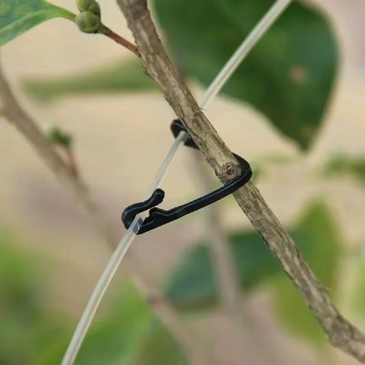 Indoor Empire - Branch Buddy Net Clips