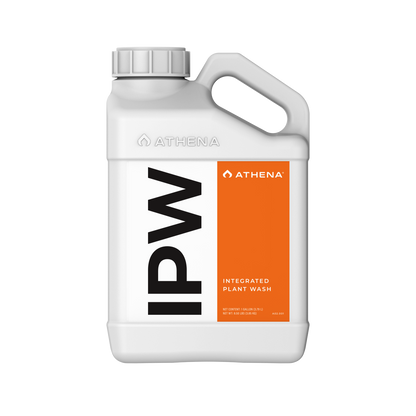 Athena IPW