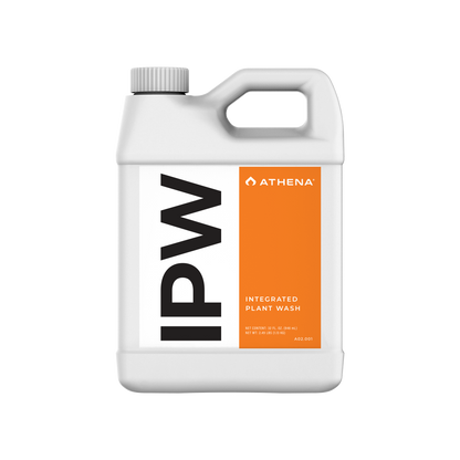 Athena IPW