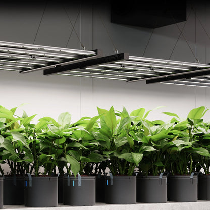 ***SPECIAL ORDER*** AC Infinity - Ionframe EVO4, Samsung LM301H EVO 300 Watt