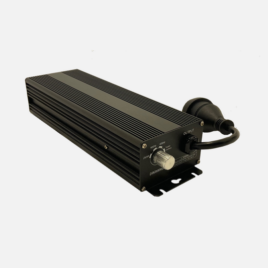 JBL 600W Digital Ballast