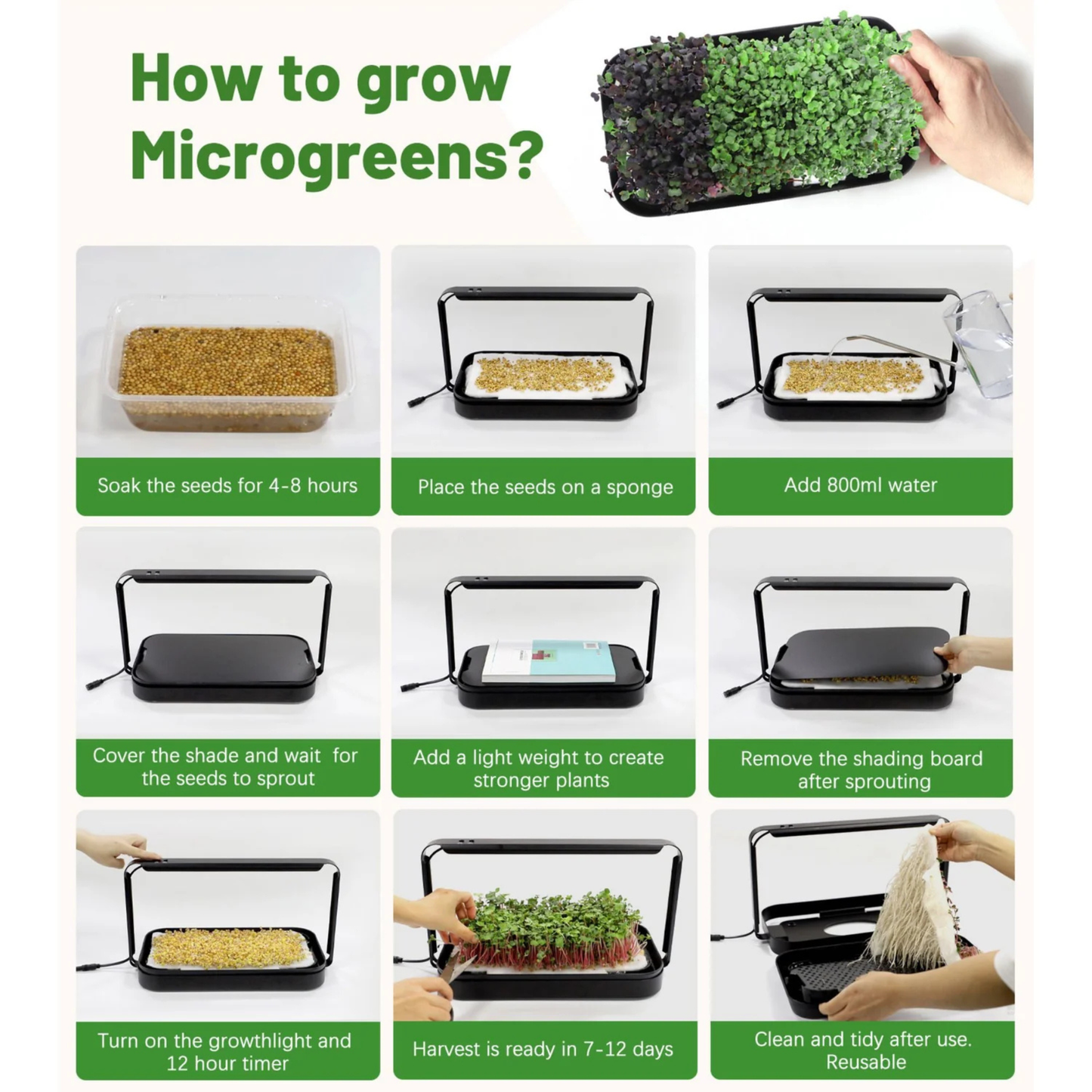 Lanitex - Smart Microgreen Growing Kit - Black Metal