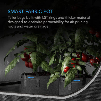 AC Infinity - Heavy Duty Fabric Pots, 3 Gallon pots / 5 pack