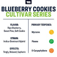 True Terpenes - Blueberry Cookies 5ml