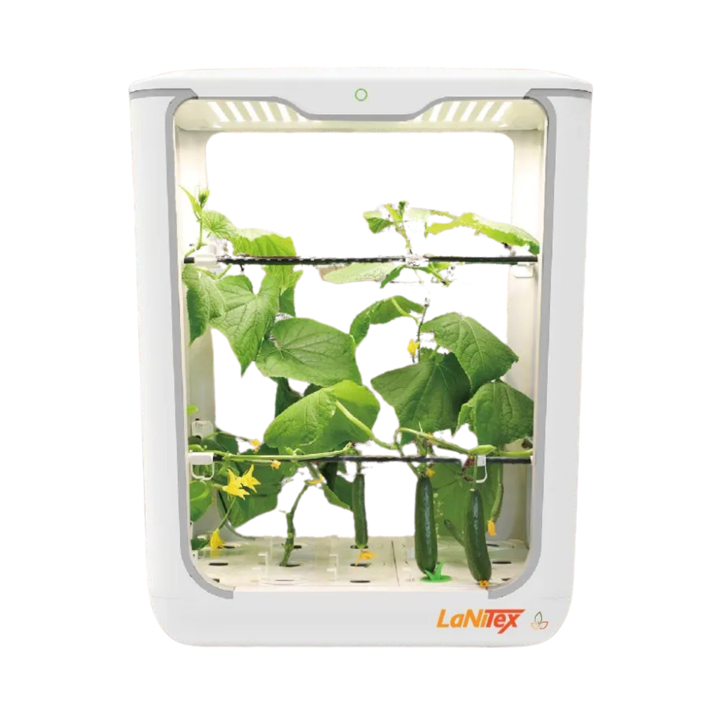 Lanitex - Indoor Hydroponic Grow Box (TALL)