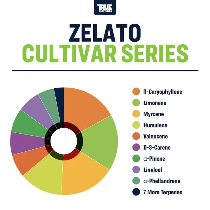True Terpenesn - Zelato 5 mL