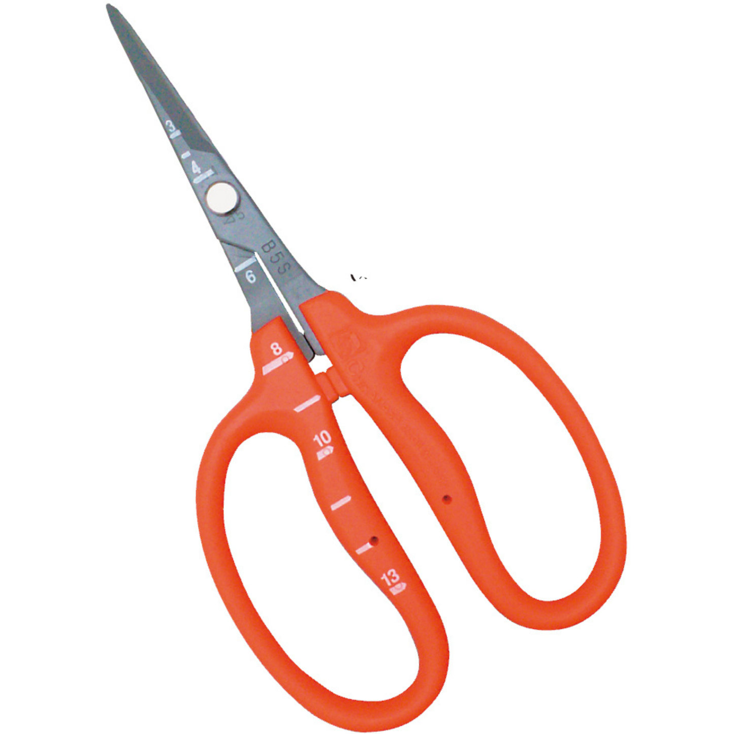 Chikamasa Scissors