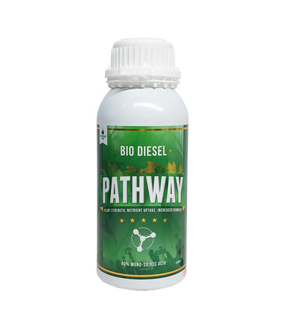 Bio Diesel Pathway 40% Mono Silicic Acid