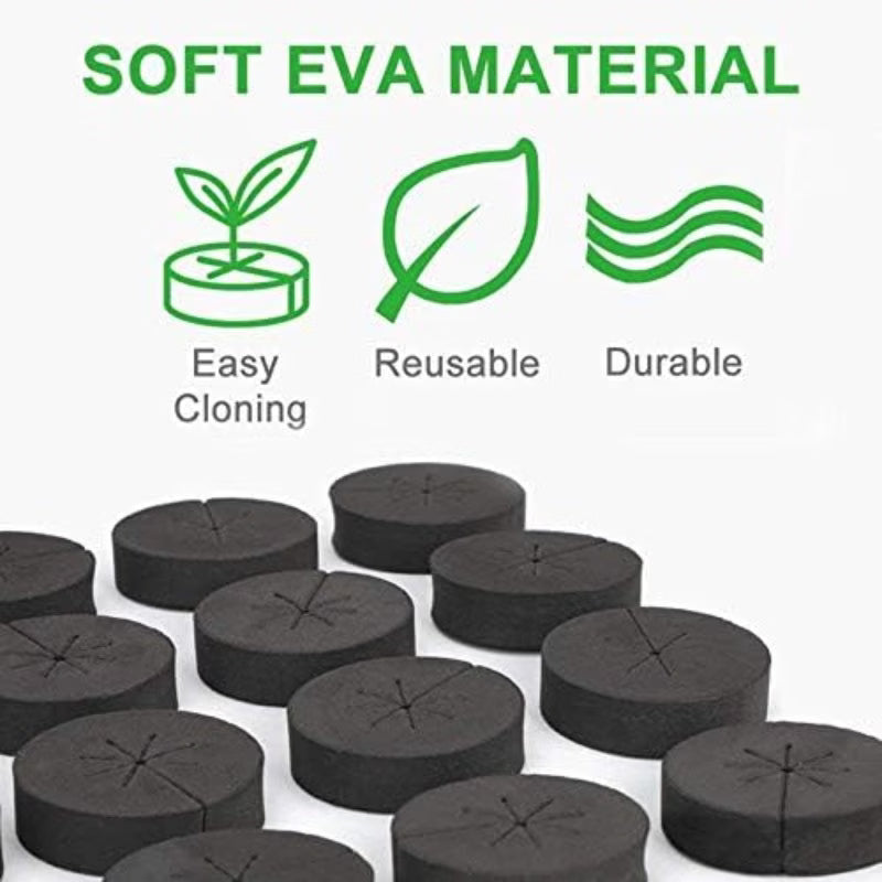 Black Cloning Collar