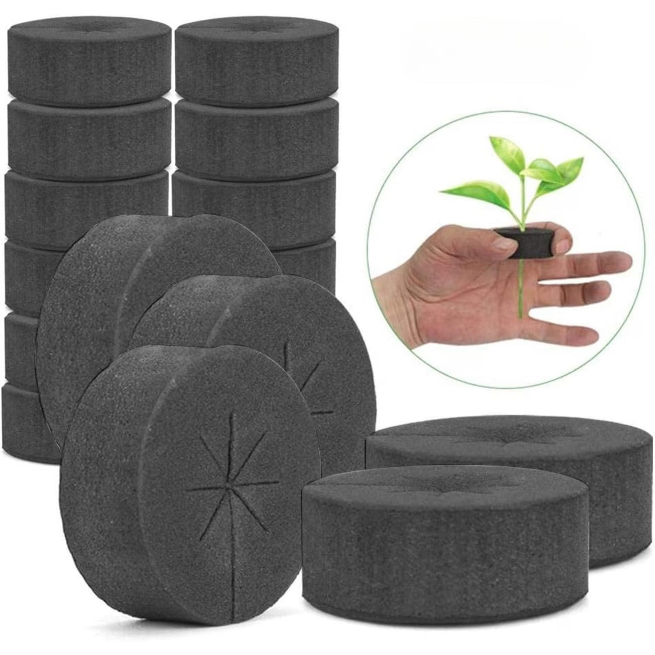 Black Cloning Collar