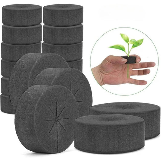 Black Cloning Collar