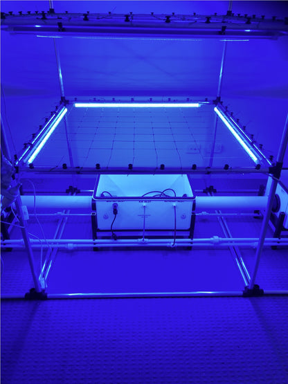 LED Enhance Bar 3ft (BLUE)