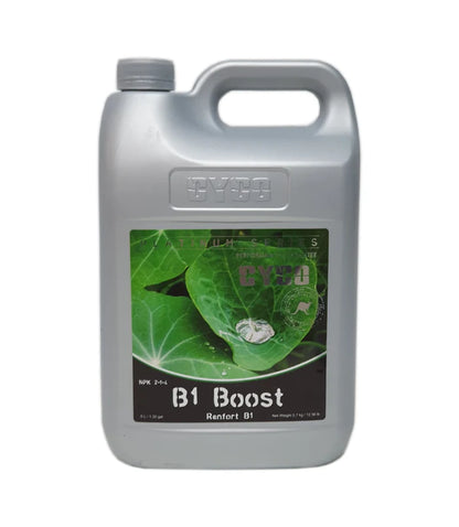 Cyco - B1 Boost