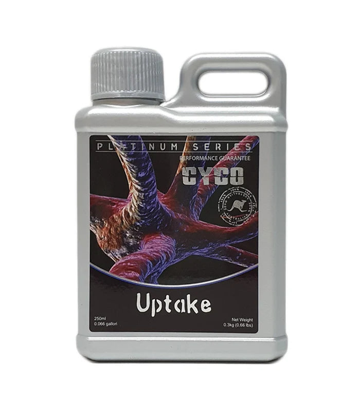 Cyco - Uptake