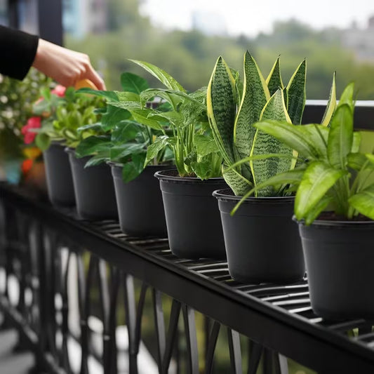 Nursery Pots with Plant Tags