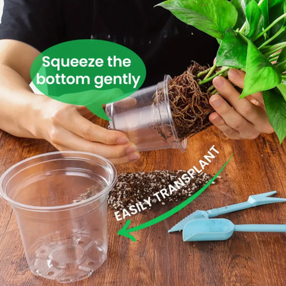 Clear Plastic Pot