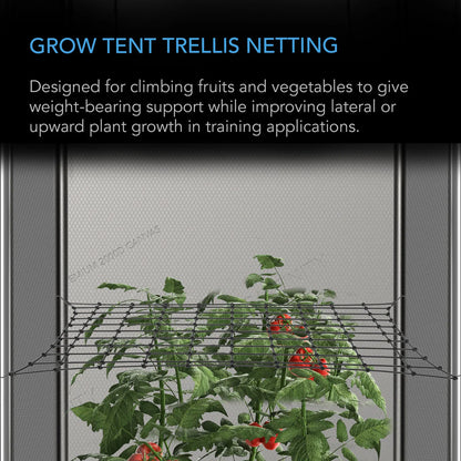 AC Infinity - Grow Tent Trellis Netting, Flexible Elastic Cords, 2x4 Feet