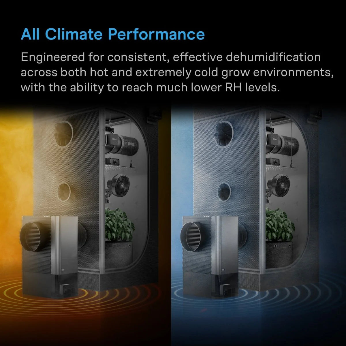 AC Infinity- Hydrone 5, Plant Dehumidifier