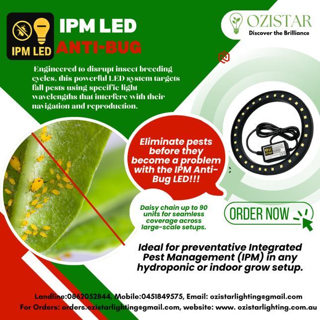 IPM Anti Bug LED Light