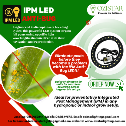 IPM Anti Bug LED Light