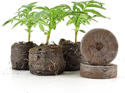 Jiffy 7 Pellet 42mm