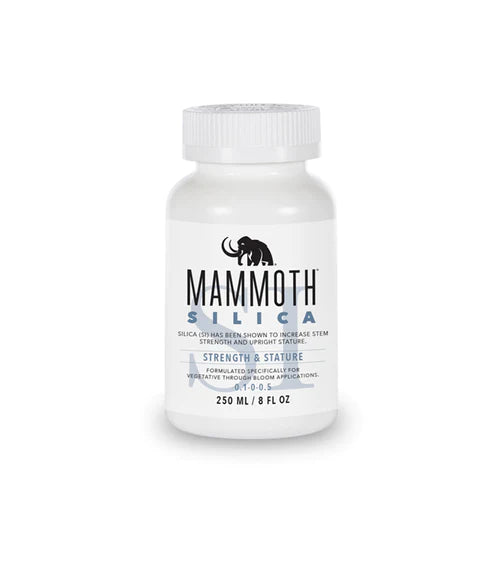 Mammoth Silica
