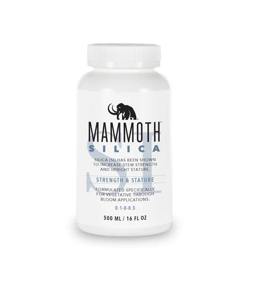 Mammoth Silica