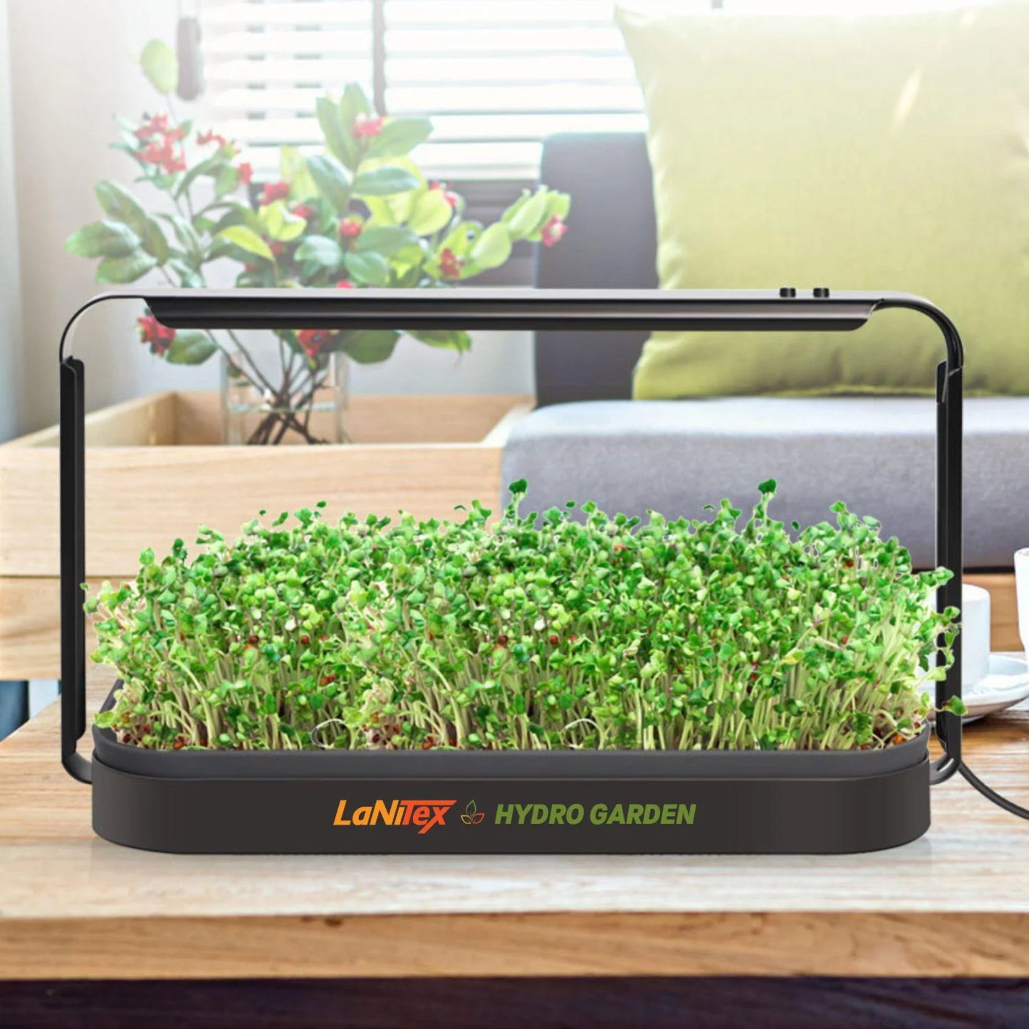 Lanitex - Smart Microgreen Growing Kit - Black Metal