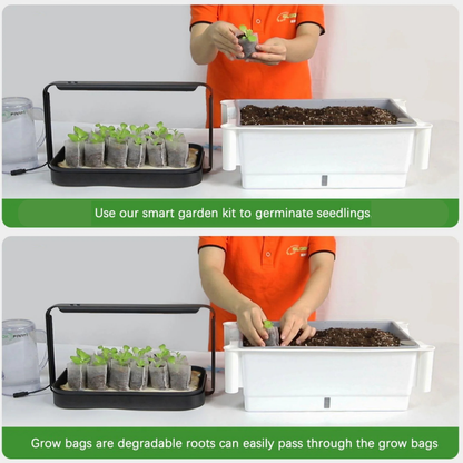 Lanitex - Smart Microgreen Growing Kit - Black Metal