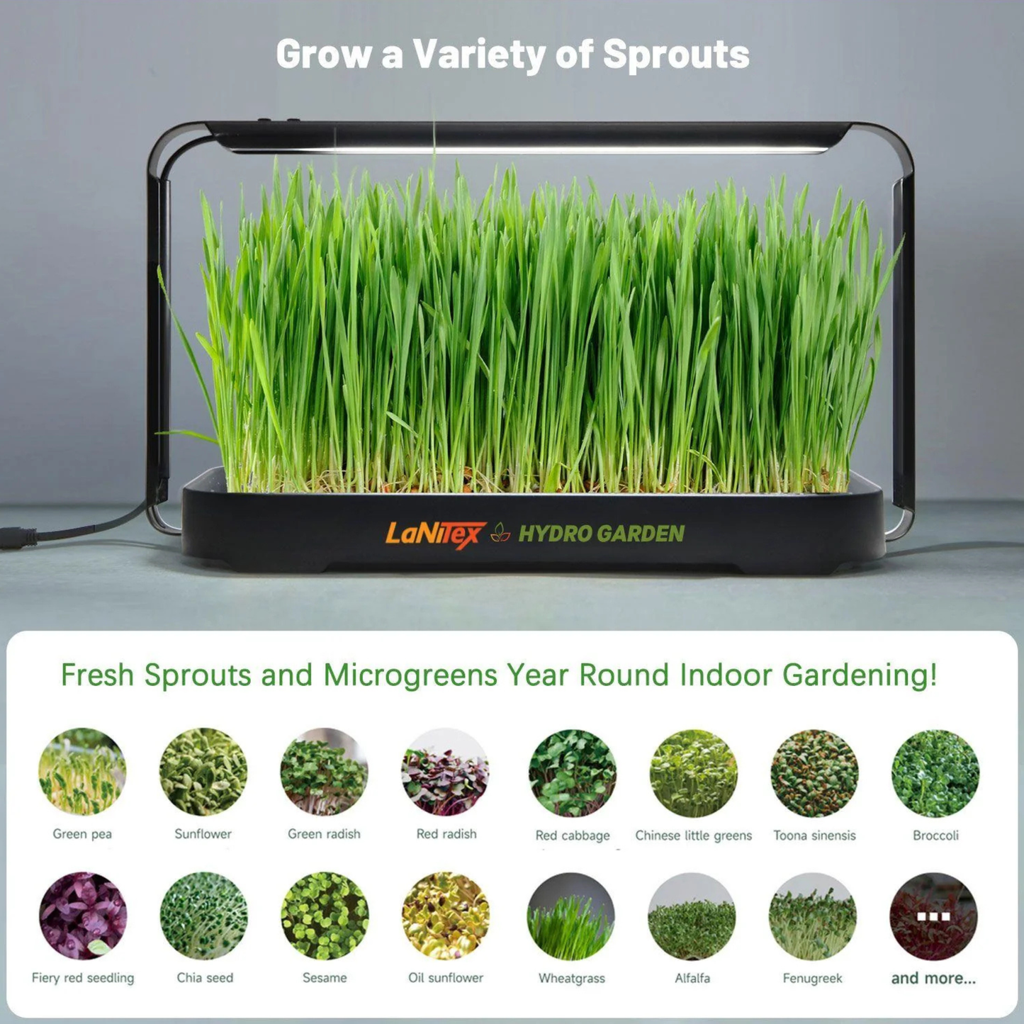 Lanitex - Smart Microgreen Growing Kit - Black Metal
