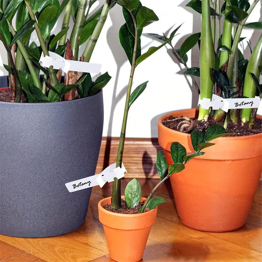 Plastic Plant Marker Tag - White