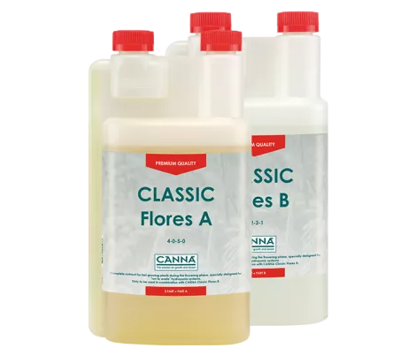 CANNA - Classic Flores
