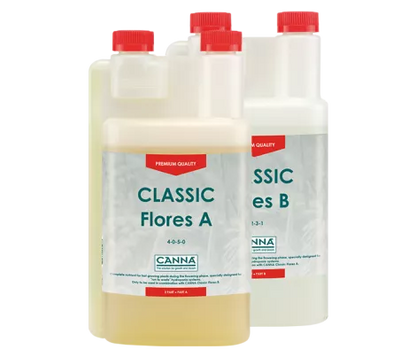 CANNA - Classic Flores