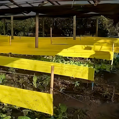 Yellow Self-Adhesive Insect Barrier Tape - 10cmx500cm