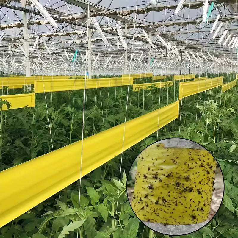 Yellow Self-Adhesive Insect Barrier Tape - 10cmx220cm pk 2