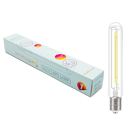 IntroGro 600 watt HPS Lamp