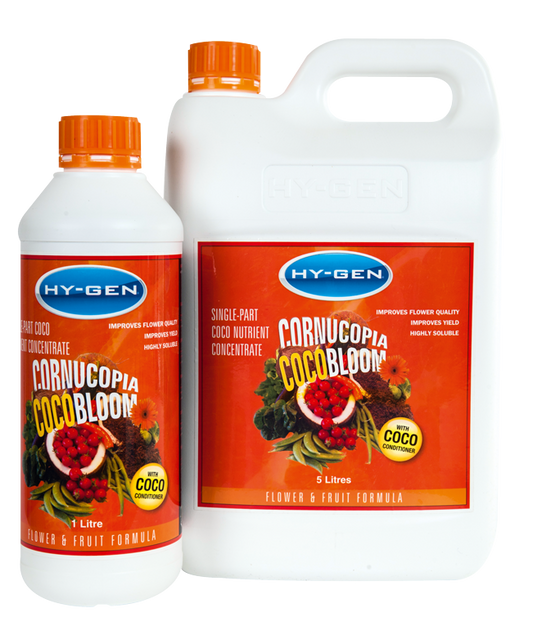 HY-GEN Cornucopia Cocobloom Single Part (CLEARANCE)