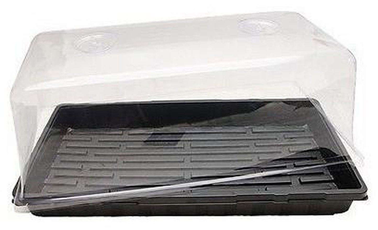 Mondi Propagation Kit - 3 piece